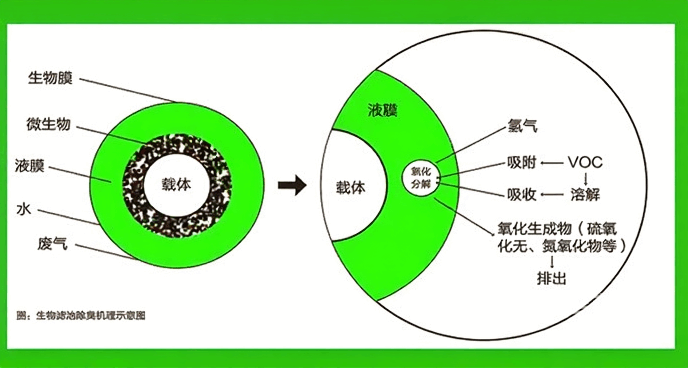 1254686.png